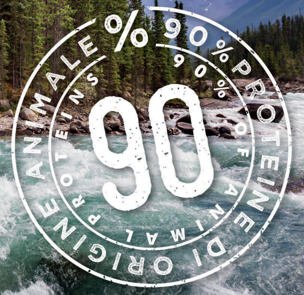 necon cat and dog dry food , italian dry food